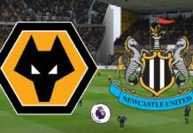 Premier League, Wolverhampton-Newcastle: quote, pronostico e probabili formazioni